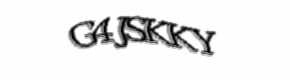 Security check image, please type the characters shown