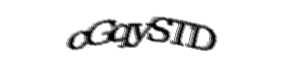 Security check image, please type the characters shown