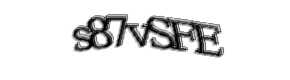 Security check image, please type the characters shown